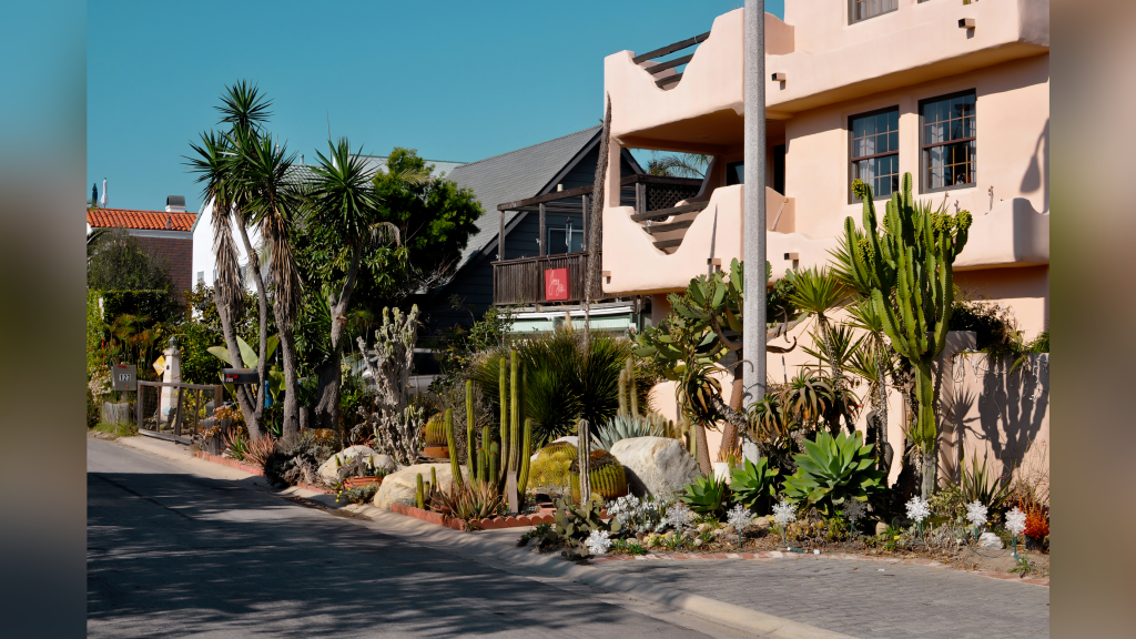 Water-wise landscaping in front of San Diego homes, showcasing a variety of California-native plants.