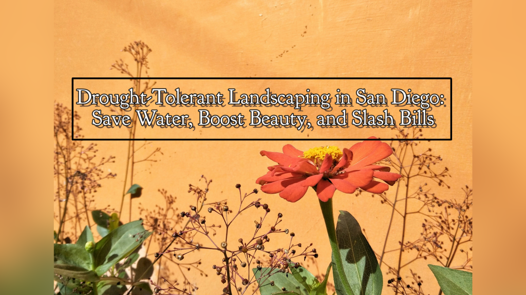 Photo of some low-water California native plants against a light brown wall with a text overlay reading "Drought-Tolerant Landscaping in San Diego: Save Water, Boost Beauty, and Slash Bills".