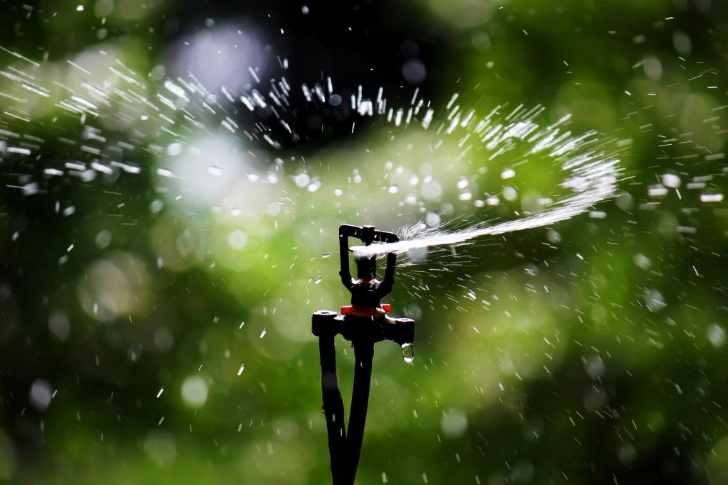 A sprinkler system watering a lawn