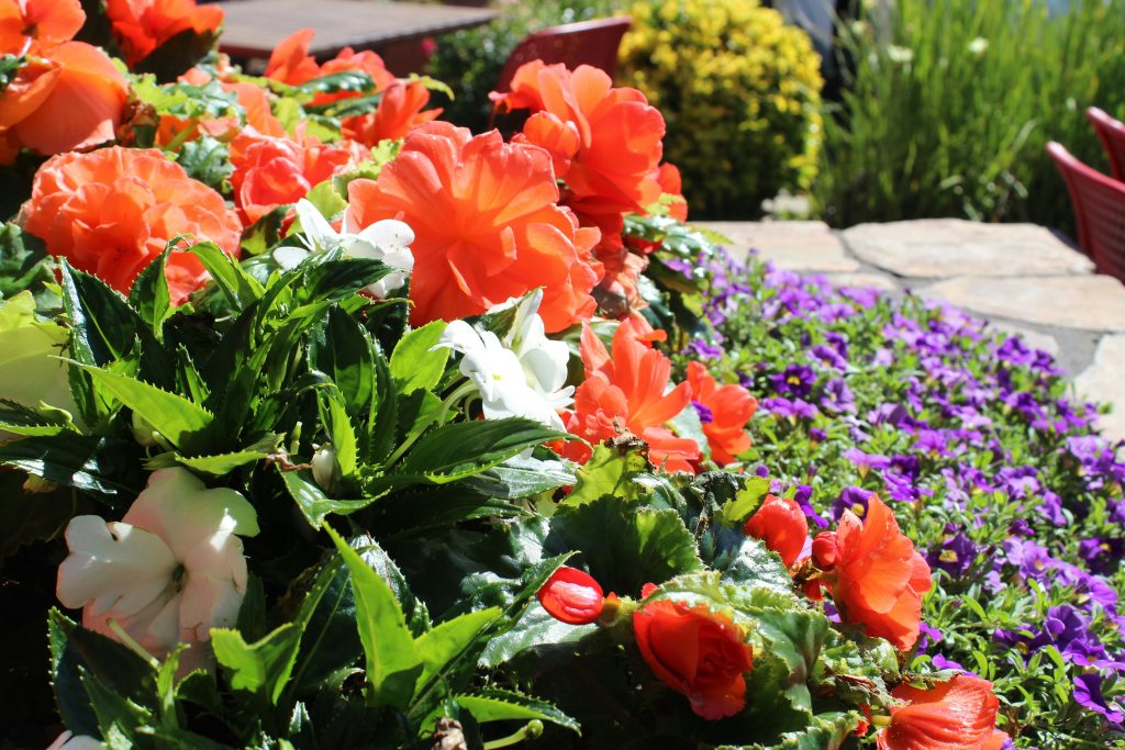 A well-manicured flowerbed