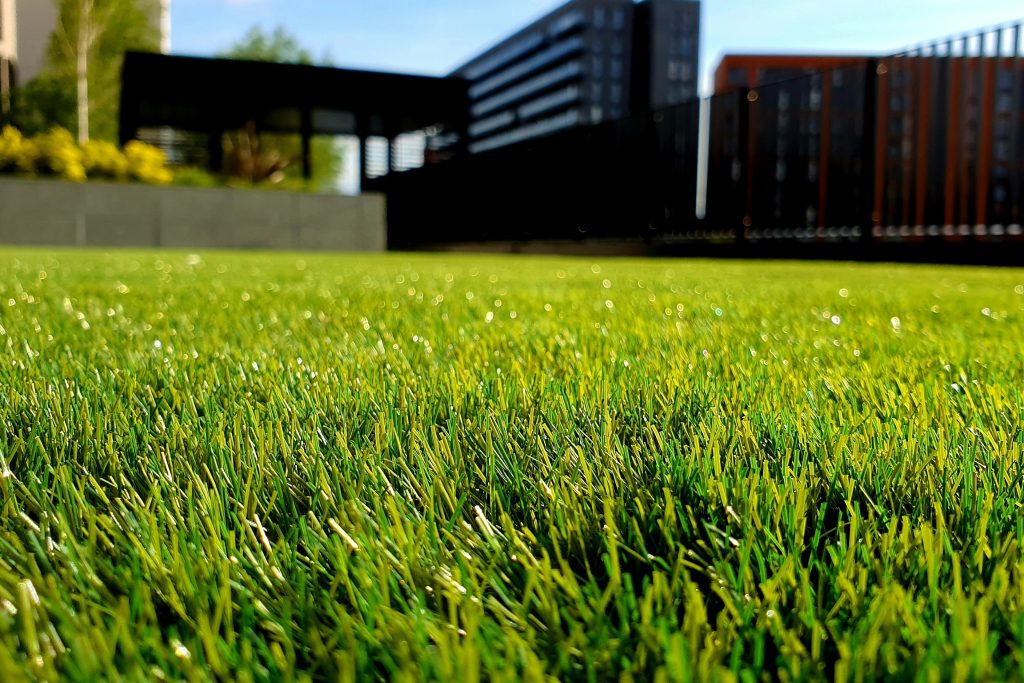 New-mown San Diego lawn glistening in the sun.