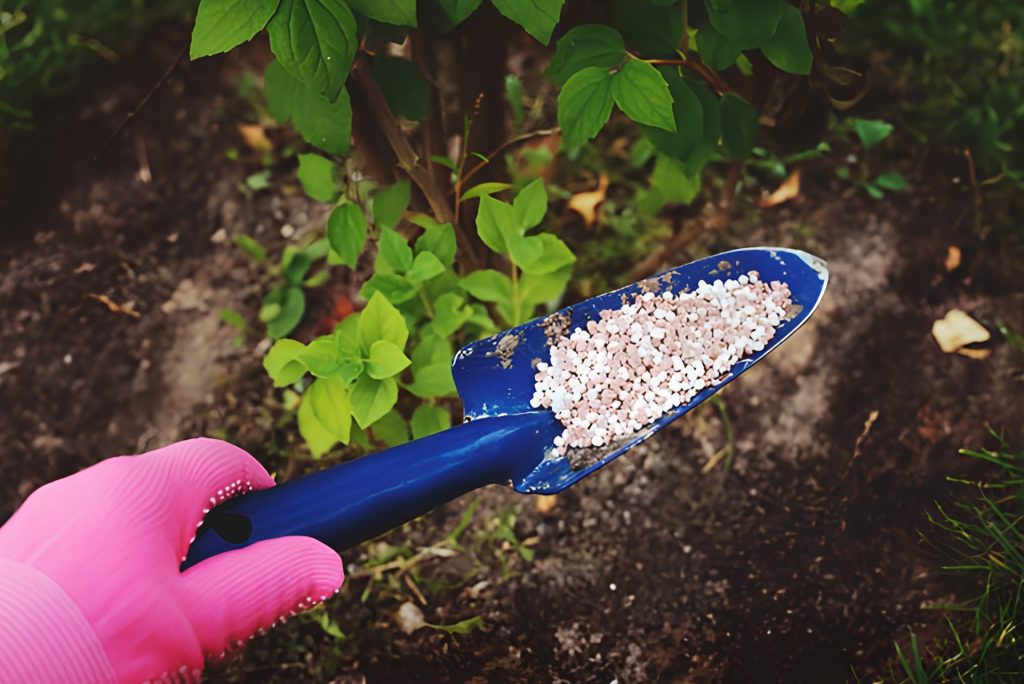 Landscaper putting fertilizer into a garden bed with a trovel