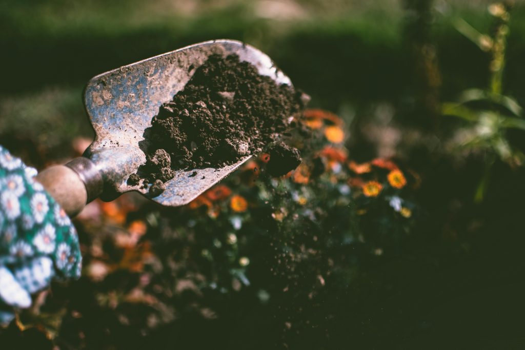 A gardener seeding and fertilizing in San Diego, packing the dirt around a new sapling