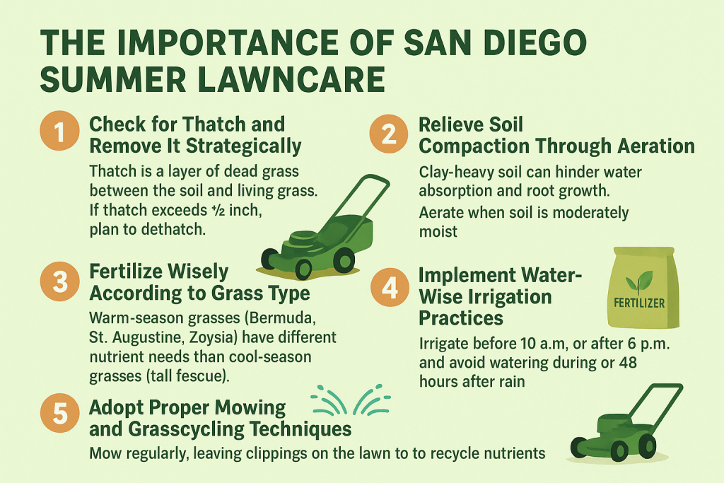 An infographic summarizing 5 strategies to keep you lawn healthy during a San Diego summer