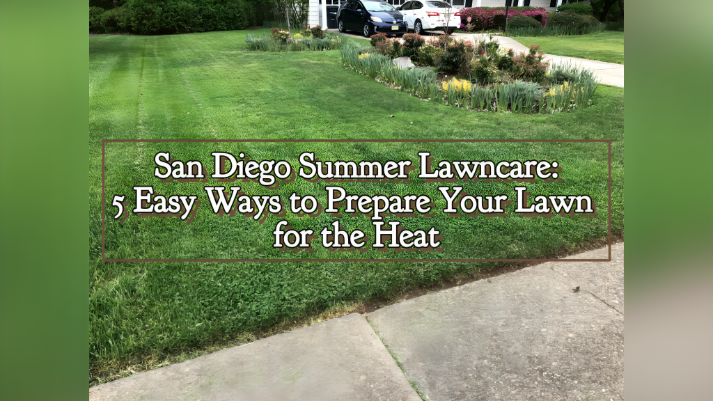 Professional lawn mowing and maintenance creating a perfectly manicured, lush green front yard lawn in San Diego, showcasing expert summer lawncare and water-wise landscaping.