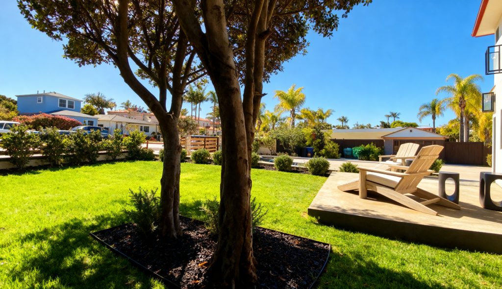 Lush, well-maintained San Diego yard