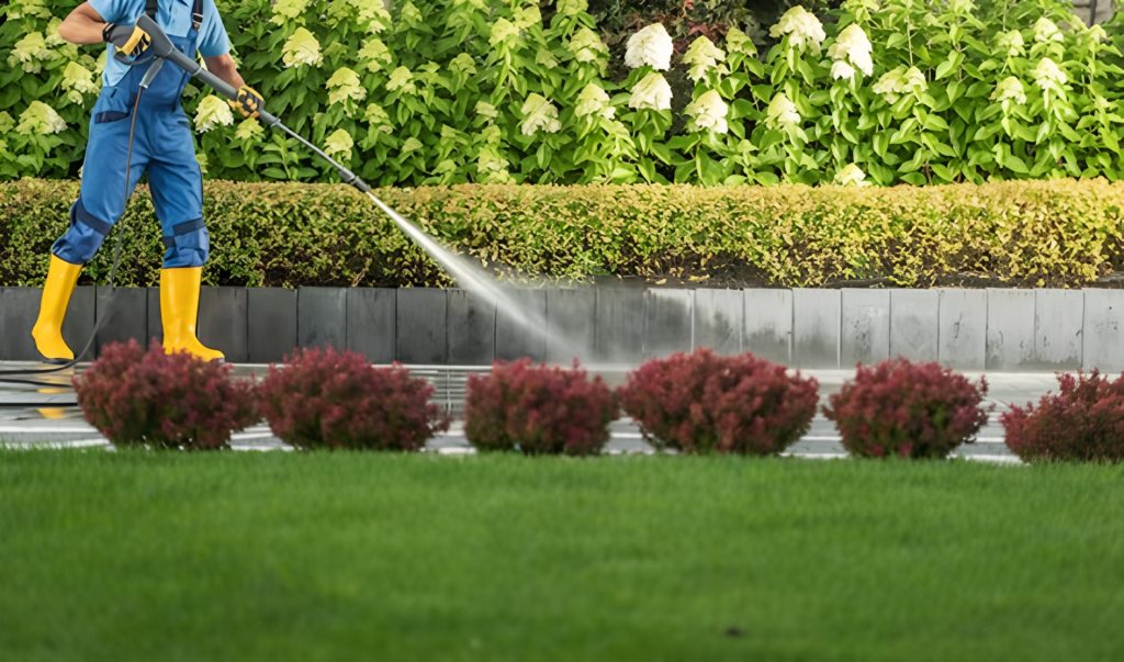 Technician power washing in San Diego along a sidewalk and landscaped yard using a pressure washer.