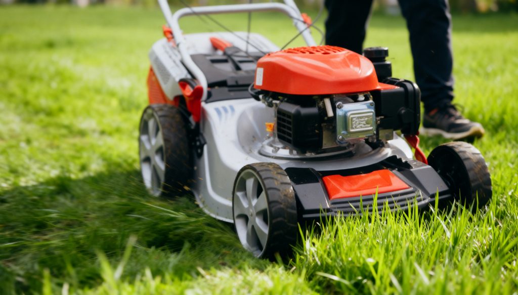 Lawn mower cutting thick green grass during lawn care in San Diego.